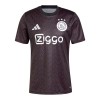 Original Fußballtrikot Ajax Amsterdam Pre-Match 2024-25 Für Herren